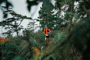 BIB: 
                            <button type="button" onclick="openModal(25258453)" class="btn btn-primary btn-sm float-right btn-popup" data-toggle="modal" data-target=".modal-high-quality">
                        <i class="fas fa-shopping-cart"></i> Add to Cart
                    </button>
                                            <button type="button" onclick="isThisMe(25258453, true)" class="btn btn-success btn-sm float-right btn-popup btn-isme hidden" data-toggle="tooltip" data-placement="bottom" title="นี่คือรูปของคุณใช่ไหม คลิกที่นี่เพื่อเอาเข้าอัลบั้ม">
                        <i class="fas fa-plus"></i> Add to album
                    </button>
                    <button type="button" onclick="isThisMe(25258453, false)" class="btn btn-warning btn-sm float-right btn-popup btn-isnotme hidden">
                        <i class="fas fa-ban"></i> Remove from album
                    </button>